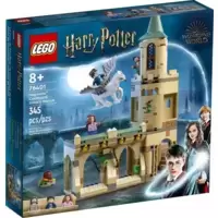Hogwarts Courtyard: Sirius’s Rescue
