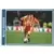 SuperFoot 99-2000 - Daniel Moreira - Milieu