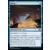 Aventures dans les royaumes oubliés (Dungeons & Dragons Forgotten Realms) - Envol