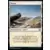 Aventures dans les royaumes oubliés (Dungeons & Dragons Forgotten Realms) - Plaine