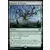 Aventures dans les royaumes oubliés (Dungeons & Dragons Forgotten Realms) - Repaire de l\'hydre