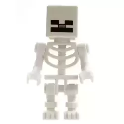 Skeleton with Cube Skull