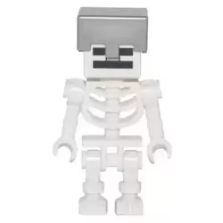 Skeleton with Cube Skull - Flat Silver Helmet