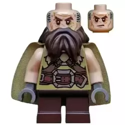 Dwalin the Dwarf