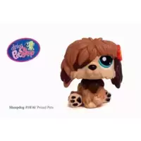 LPS 1816