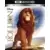 Le Roi Lion [4K Ultra HD + Blu-Ray]