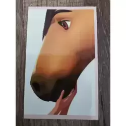 Image n°2
