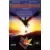 Coeur de dragon [VHS]