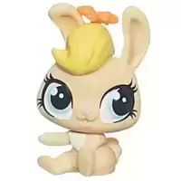 LPS 4104