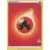 Battle Academy 2022 - Cinderace Deck - Fire Energy