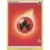 Battle Academy 2022 - Cinderace Deck - Fire Energy