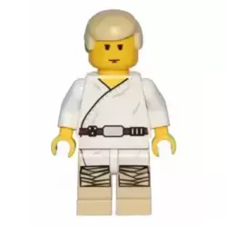 Luke Skywalker (Tatooine) - 2014 version