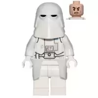 Snowtrooper Commander
