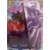 Dragon Ball Super Carte Promo FR - Confrontation Prédestinée