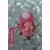 Toadette