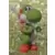Super Mario Nintendo -2022 - Yoshi
