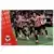 Bees - Brentford
