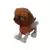 Zuma