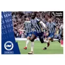 Seagulls - Brighton & Hove Albion