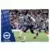 Seagulls - Brighton & Hove Albion