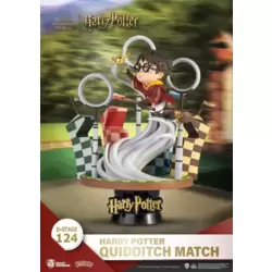 Harry Potter - Quidditch Match