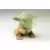 Yoda
