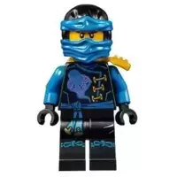 Jay - Skybound