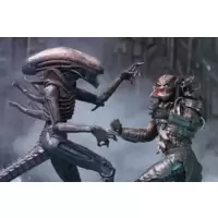 Alien vs Predator - Movie Maniacs Xenomorph and Predator