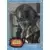 Star Wars - The Living Set - Topps - Krrsantan - The Book of Boba Fett