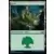 Forêt