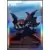 Shantae and the Pirate’s Curse Card Pack