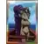 Limited Run Cards Series 2 - Shantae and the Pirate’s Curse Card Pack