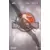 VHS - Jurassic Park III [VHS]