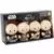 Figrin D'an and the Modal Nodes Collector Set (4 Pack) (ANH)