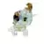 Zodiac Unicorno Aquarius