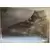 Limited Run Cards Series 1 - Dear Esther