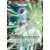 Freezer, Combinaison de l’Univers 7