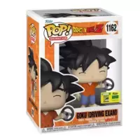 Dragon Ball Z - Goku Driving Exam