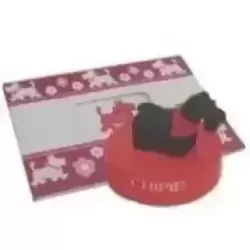 Tampon