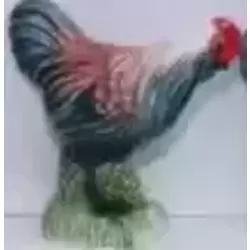 Coq 4