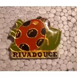 Rivadouce coccinelle