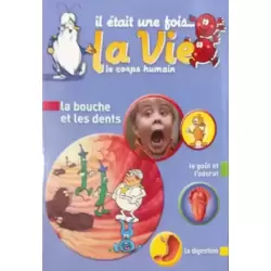 La bouche et les dents