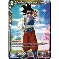 Son Goku, de Retour sur Terre