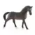 Horse Club - Boutique d’équitation