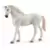 Horse Club - Extension Box pour chevaux