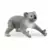 Wild Life - Maman et Bébé Koala