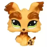 LPS 1016
