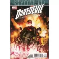 Shadowland part 5