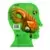 ReAction Figures - The Toxic Avenger - Toxie (Glow)
