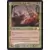 Infestation foil